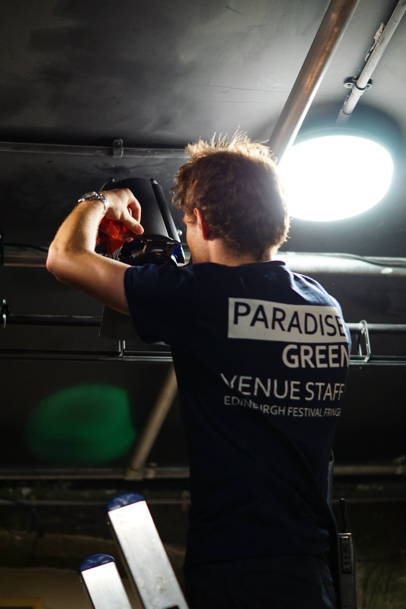 Paradise Green performance